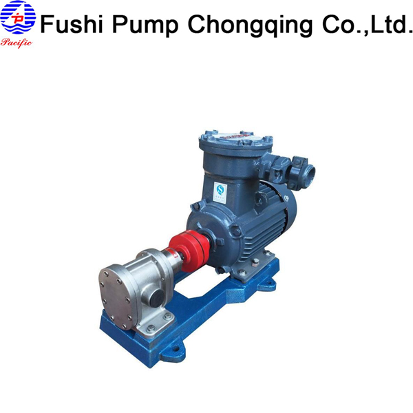Marine Stainless Steel Gear Fuel Pump
